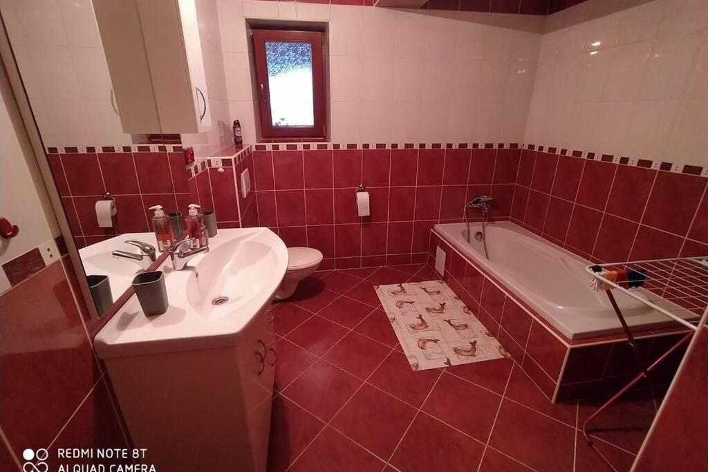Ubytovani Pod Statkem Tichá Dış mekan fotoğraf