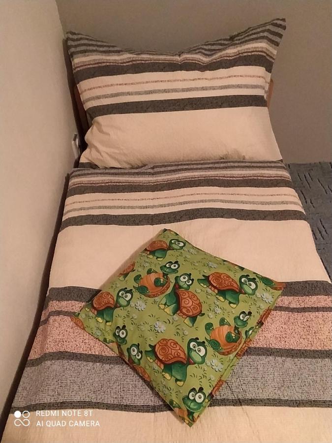 Ubytovani Pod Statkem Tichá Dış mekan fotoğraf