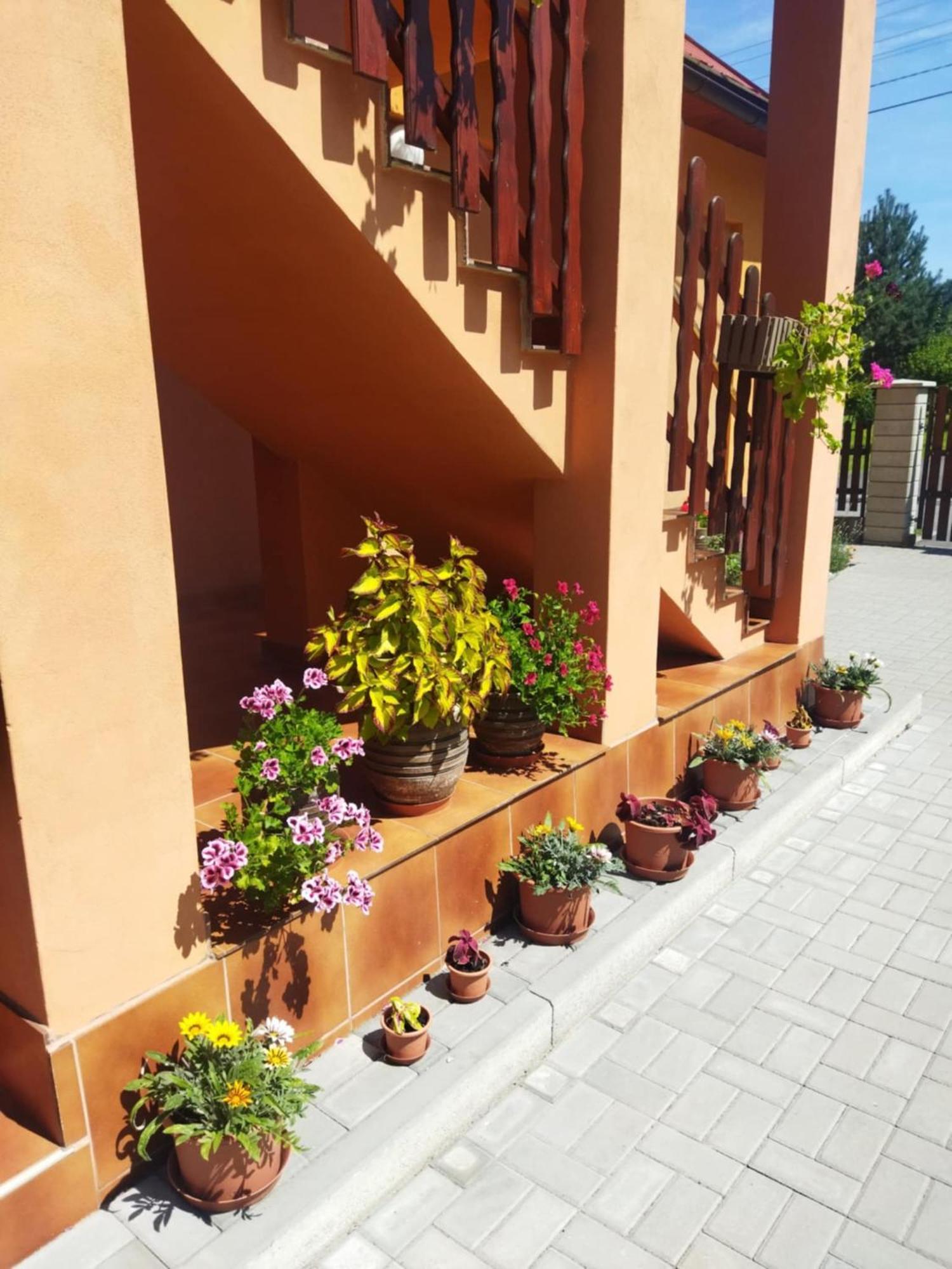 Ubytovani Pod Statkem Tichá Dış mekan fotoğraf